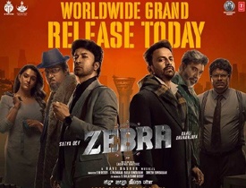   																				Review: Zebra – A financial crime thriller that works in parts!																			