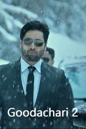Goodachari 2